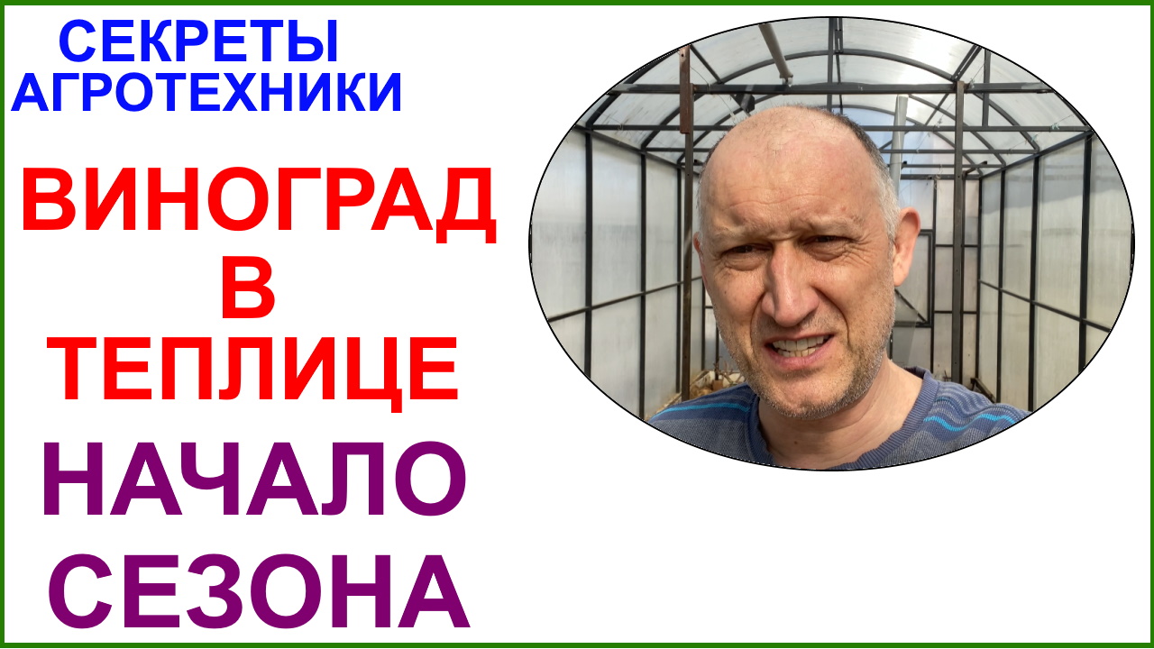 Начало сезона. Убираю зимнее укрытие винограда в теплицах.