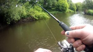 Family fishing выпуск 23 Охота на голавля