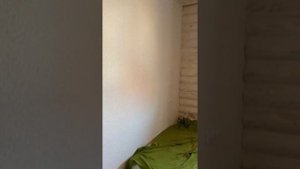 Чистовая отделка бревенчатого дома!