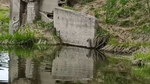 Фантазёры на рыбалке