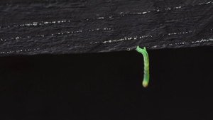 Природа Калужской области. Национальный парк Угра.