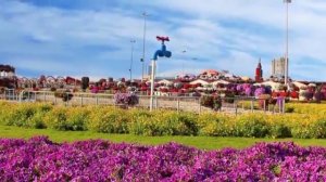 ОАЭ, Дубаи -Самый большой цветочный парк в мире