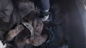 КОШКИ СПАСЛИ ЕЁ ОТ СМЕРТИ  ? !!!  __ ЕСЛИ БЫ НЕ ОНИ Я БЫ НЕ ВЫЖИЛА !!!.mp4