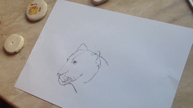 Рисую львицу смотреть онлайн