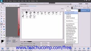 Photoshop Elements 12 Tutorial The Brush Tool Adobe Training Lesson 6.2