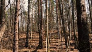 ВЕЛОПОЕЗДКА ПО БОЛОТАМ в Чувашии