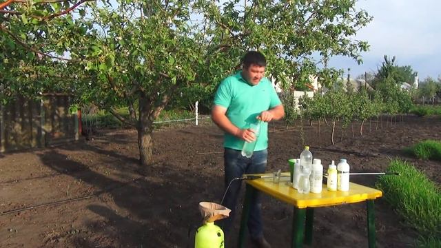 Четвертая обработка садовых деревьев