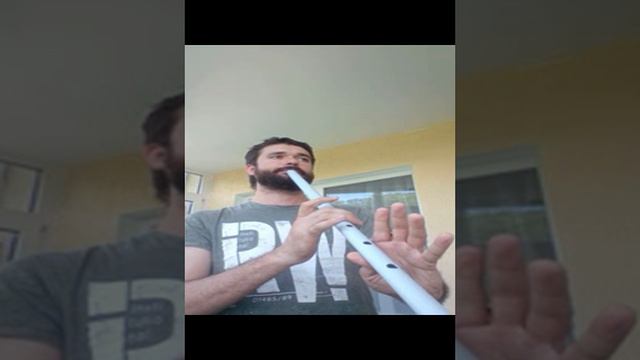 двухоктавная пластиковая флейта в ля