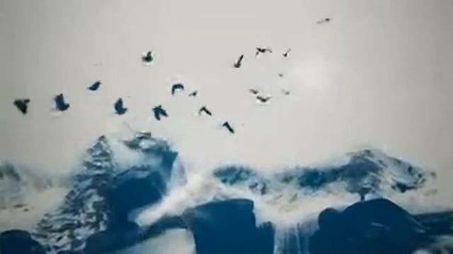 San Benedetto Nature смотреть онлайн