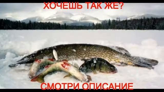 недорогой эхолот для рыбалки