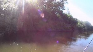 Ах , лето. Рыбалка на реке Урал