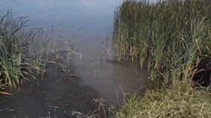 рыбалка на Новотроицком  водохранилище у х Смыков....
