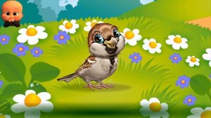 Развивающее Видео Для Детей Учим Животных Дома И Птиц