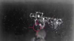 Они выбрали жизнь: солдаты ВСУ сдались в плен россиянам