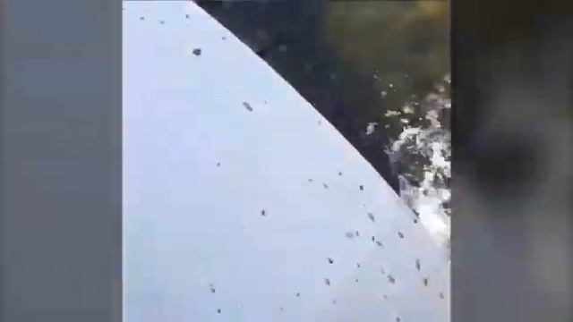 Вездеход в ЗКО Уральск смотреть онлайн