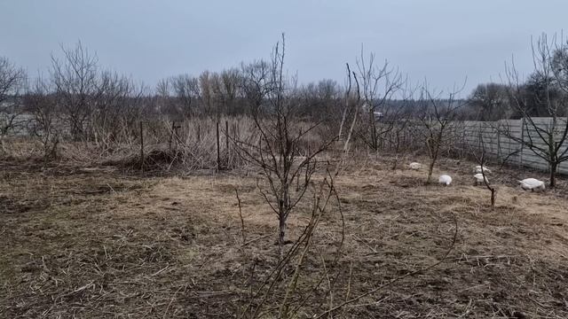 продолжаем убирать сад! смотреть онлайн