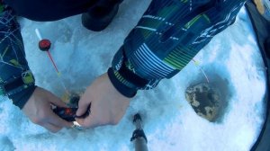Зимняя рыбалка в Кемерово под Кузнецким мостом или как я пытался поймать рыбу