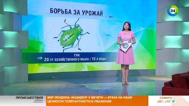 Какими способами нужно бороться с вредителями. Эфир от 19.06.17 смотреть онлайн
