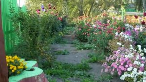 Видео аллея  Добра - 2009 год. Село Старые Айбеси Алатырского района Чувашской Республики