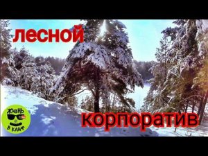 Рецепт приготовления Петух с Кашей