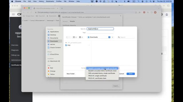 Using the OCI Key Management Service (KMS) for GG Trail Encryption смотреть онлайн
