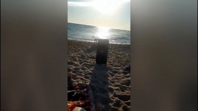 Когда Лёха куралесит 2022