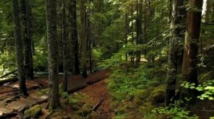 Гарри Поттер и Узник Азкабана