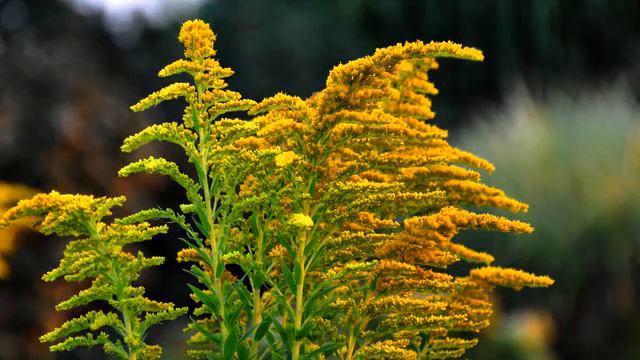 Супер красивые русские песни и фото 2015 года смотреть онлайн