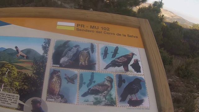 G M en el cerro Selva 6 смотреть онлайн