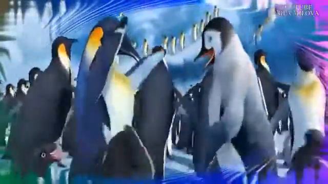 Смешной 🐧 пингвин смотреть онлайн