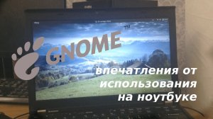 Gnome 40 на ноутбуке - очень даже годнота(видео из архивов youtube)