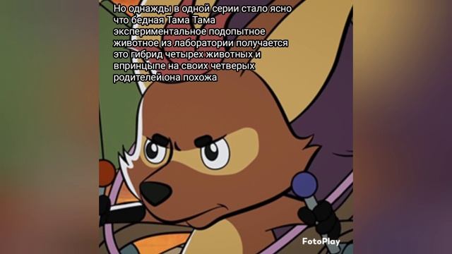 Кто такая Тама Тама?/Что за зверёк?