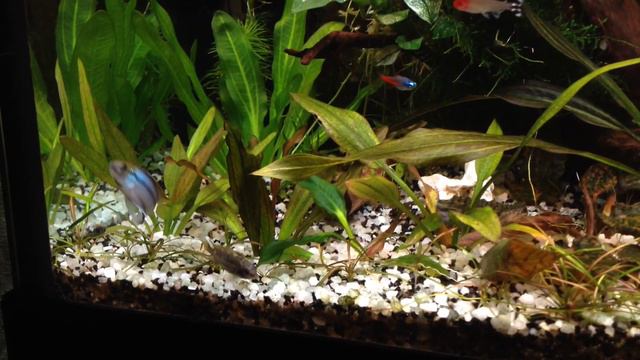 Семейные игры) смотреть онлайн