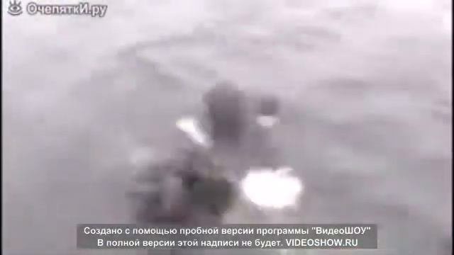 Спасение животных до слёз