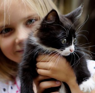 «Если любишь кота своего..." Развитие любви в детях. Стихи о доброте.