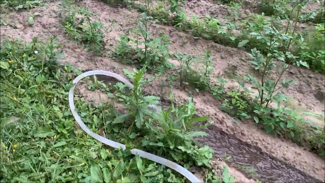 Помпа, бассейн, огород. Помпа Huter МР-25 смотреть онлайн