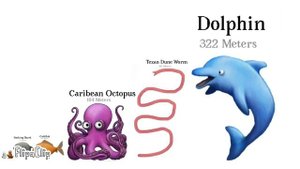 ULTIMATE TASTY PLANET SIZE COMPARISON (with extras)