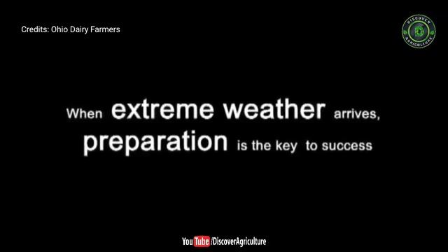 WINTER COW CARE - Cow Shed Design For Cold Region смотреть онлайн