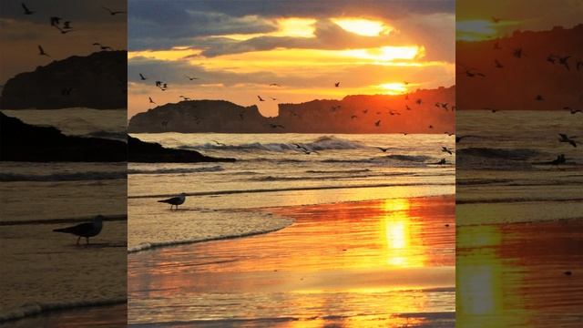 Song of the Princess Who Never Smiled смотреть онлайн