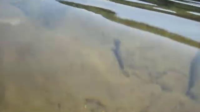 testing the Canon D10 underwater camera смотреть онлайн