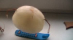 Сделай сам №1. Свечи парафиновые в домашних условиях.