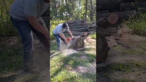 Red Beard Saws 592xp more action vids