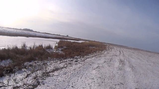 Охота на зайца русака 30 11 2021 смотреть онлайн