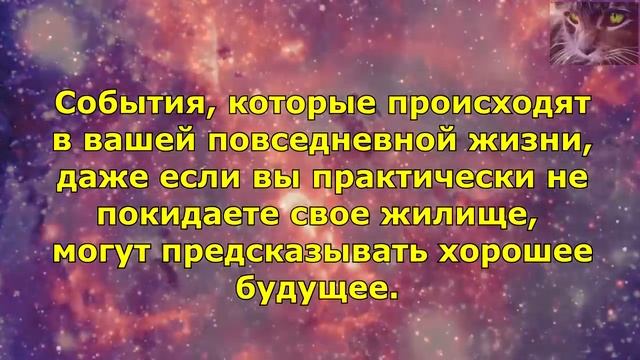 Приметы для счастья и удачи. Большой сборник. Народные приметы. Часть 2