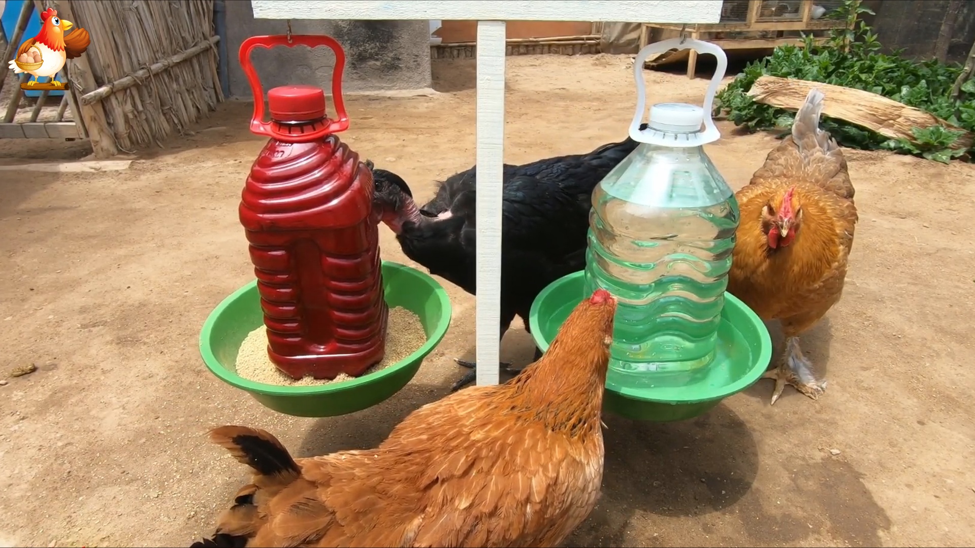 Поилка для цыплят из бутылки