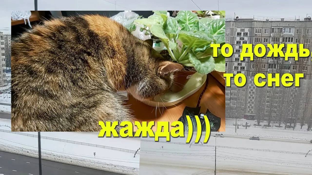 Планирую обустройство дома. Снова холодно и скользко)))