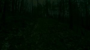 Akira Yamaoka - The Forest Trail