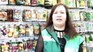 ПРИСТВОЛЬНЫЕ КРУГИ: КАК ПРАВИЛЬНО ОБУСТРОИТЬ ОСЕНЬЮ. ПОДРОБНАЯ ИНСТРУКЦИЯ #сад #огород #дача