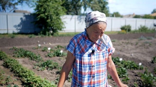 Как бороться с нематодой на клубнике. Почему сохнут кусты клубники, земляники.