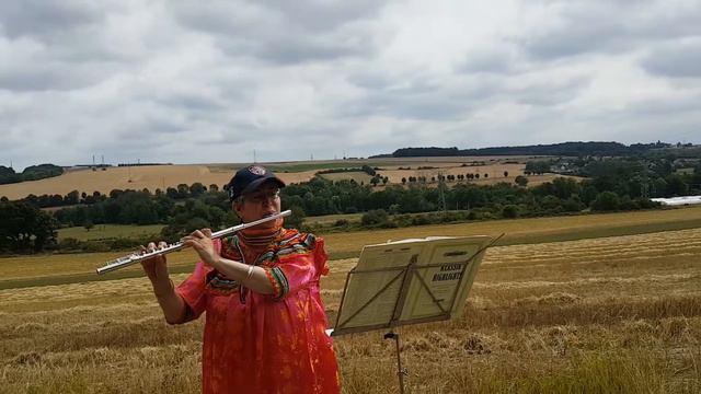 Musical Moments with Michèle and Amo - NOCTURE by F. CHOPIN смотреть онлайн